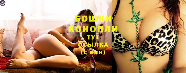 трава Аркадак