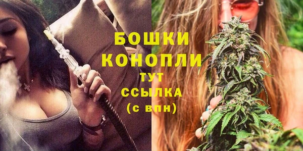 трава Аркадак