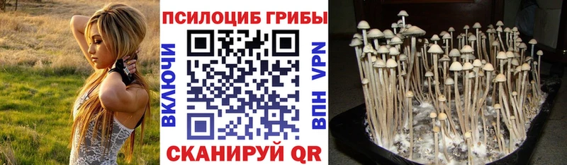 Псилоцибиновые грибы Psilocybe  Саки 