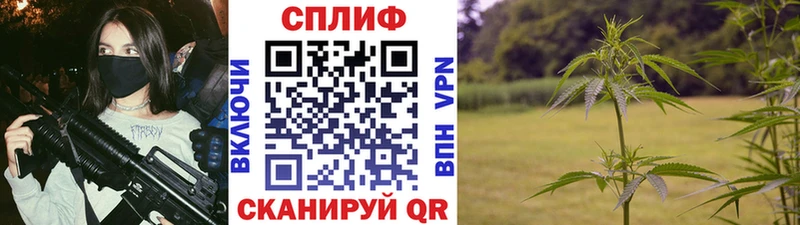 МАРИХУАНА OG Kush  цены   Саки 